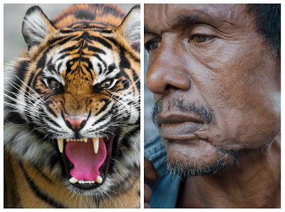 sundarban delta in hindi https://sundarban-delta-in-hindi.blogspot.com/2019/07/the-features-of-sundarban-delta-in-hindi.html