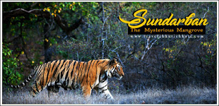 Sundarban in Hindi https://sundarban-delta-in-hindi.blogspot.com/2019/07/the-features-of-sundarban-delta-in-hindi.html