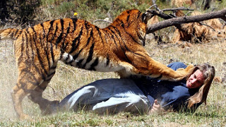 Sundarban Delta in Hindi https://sundarban-delta-in-hindi.blogspot.com/